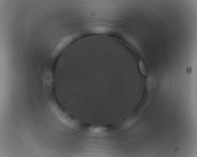 X0000114180407200910151706