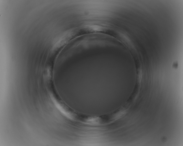 X0000114180410200910151706