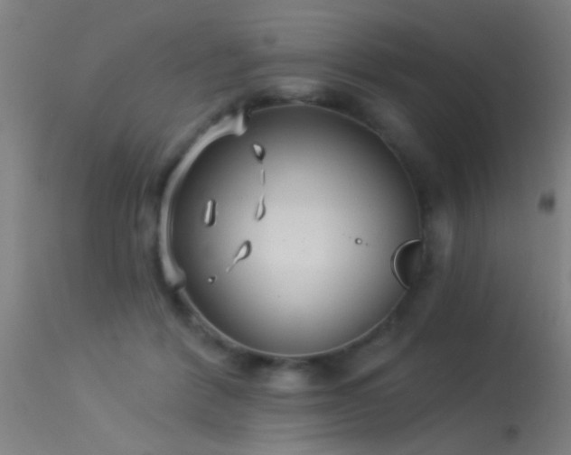 X0000114180412200910151706