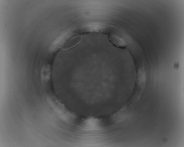 X0000114180413200910151706