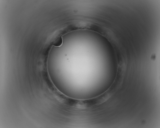 X0000114180416200910151706