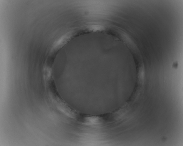 X0000114180417200910151706