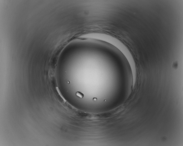 X0000114180419200910151706