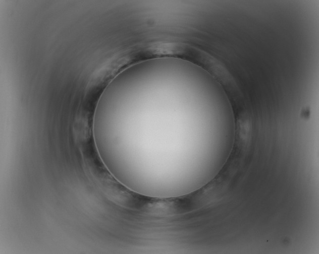 X0000114180422200910151706