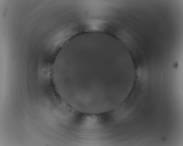 X0000114180423200910151706