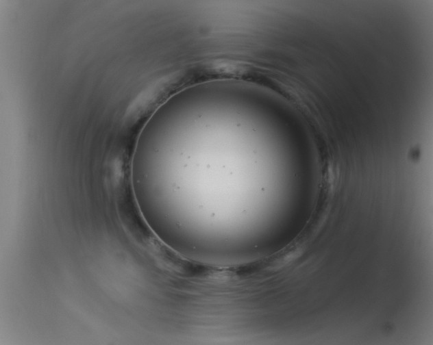 X0000114180424200910151706