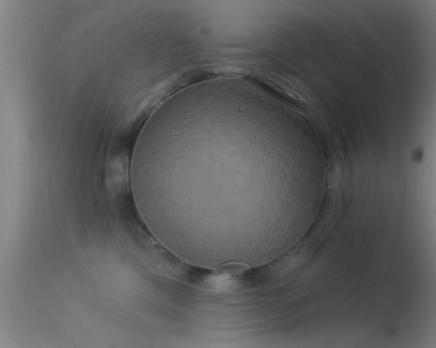 X0000114180425200910151706