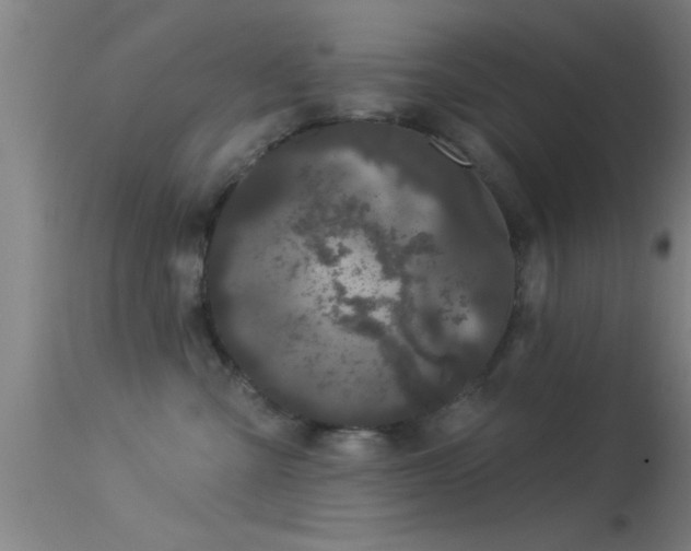 X0000114180427200910151706