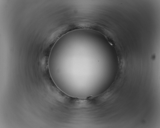 X0000114180428200910151706