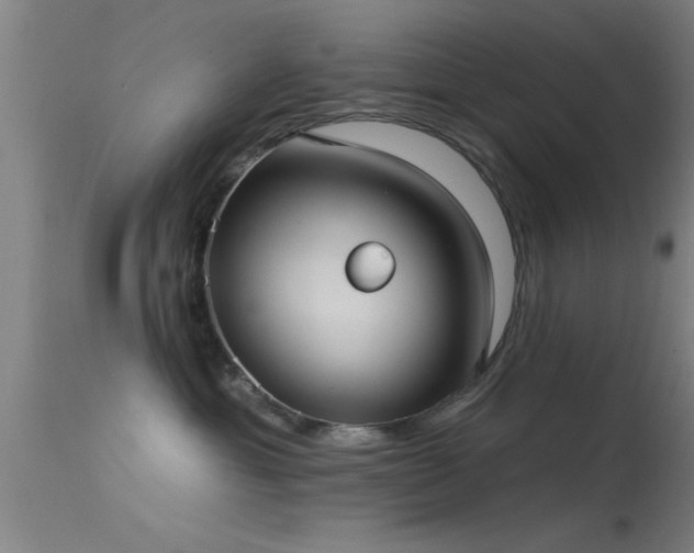 X0000114180429200910151706