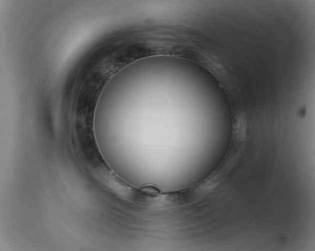 X0000114180430200910151706