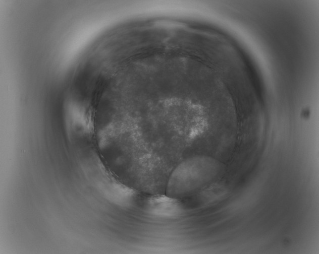 X0000114180431200910151706