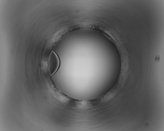 X0000114180432200910151705