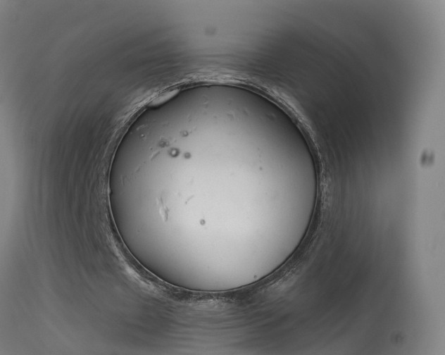 X0000114180433200910151705