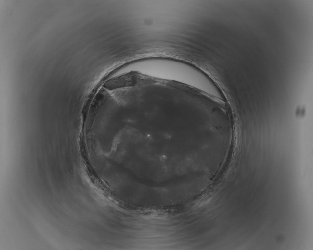 X0000114180434200910151705