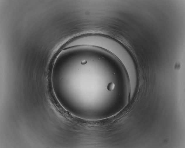 X0000114180436200910151705