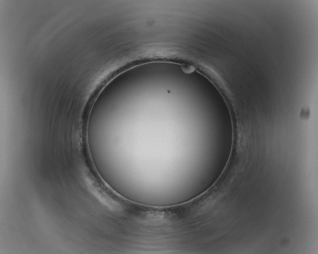 X0000114180439200910151705