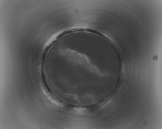 X0000114180440200910151705