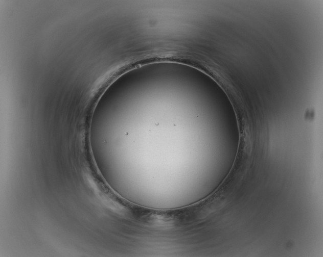 X0000114180442200910151705