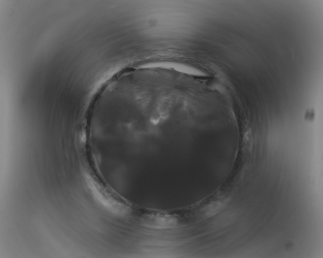 X0000114180443200910151705