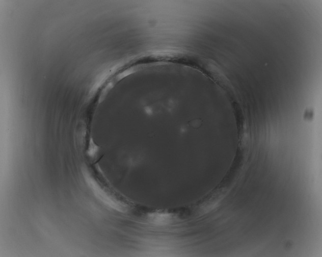 X0000114180448200910151705