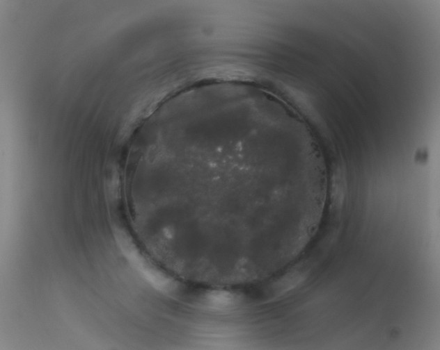 X0000114180453200910151705