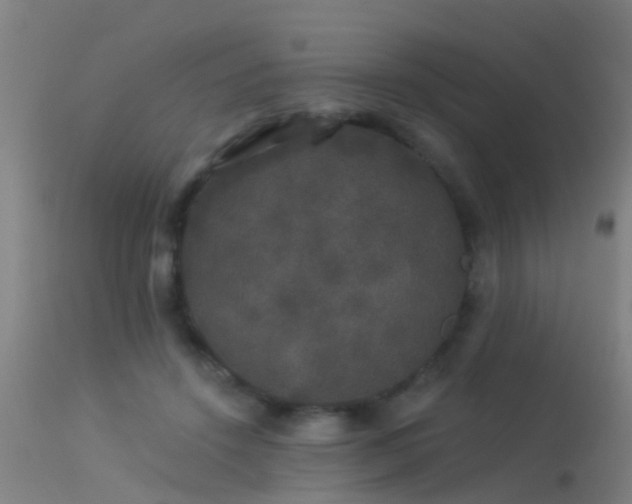 X0000114180456200910151705