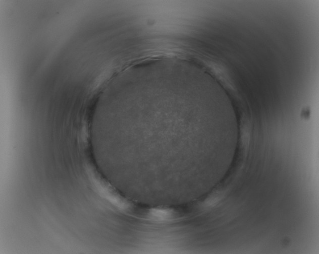 X0000114180457200910151705