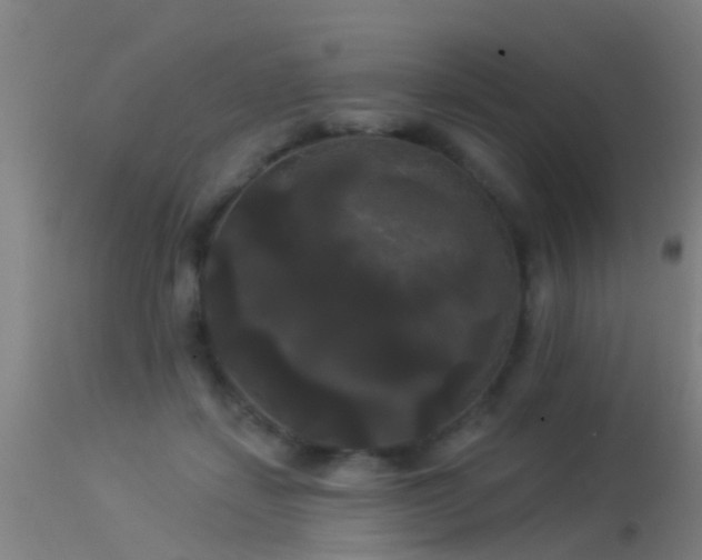 X0000114180459200910151705