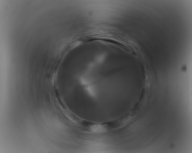 X0000114180465200910151705