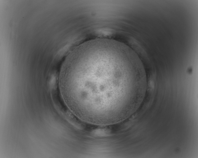 X0000114180468200910151705