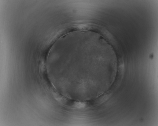 X0000114180469200910151705