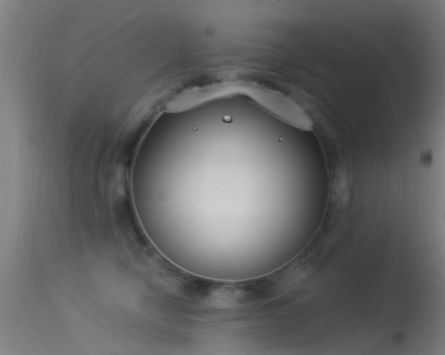 X0000114180470200910151705