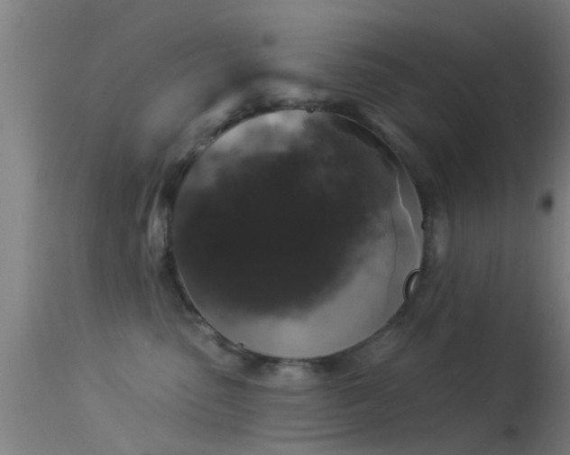 X0000114180475200910151705