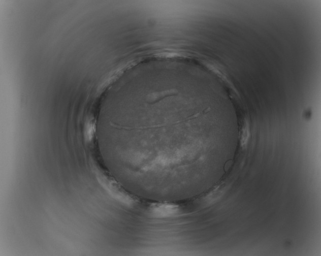 X0000114180476200910151705