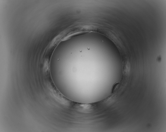 X0000114180478200910151705