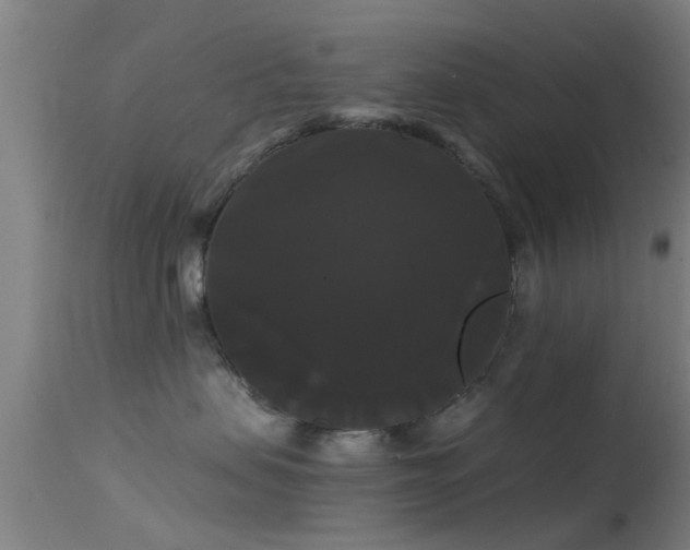 X0000114180479200910151705