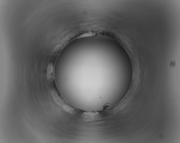 X0000114180480200910151705