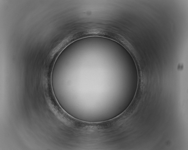 X0000114180482200910151705