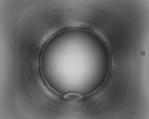 X0000114180485200910151705