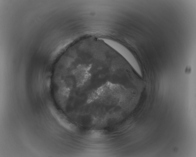 X0000114180495200910151704