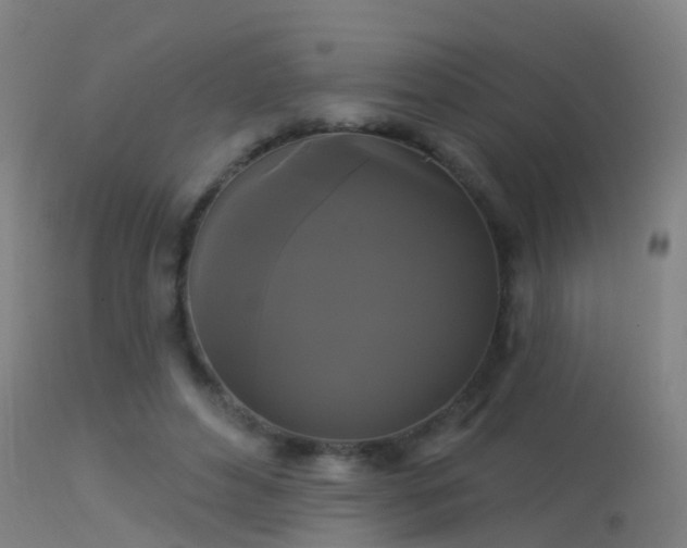 X0000114180496200910151704