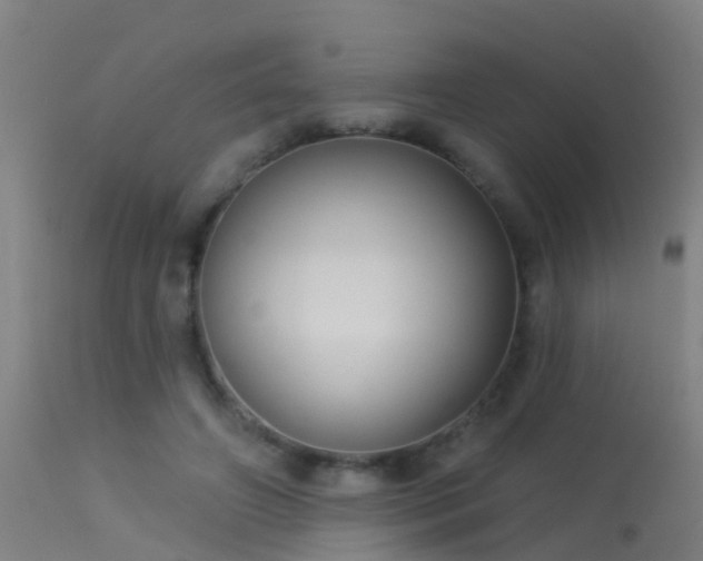 X0000114180498200910151704