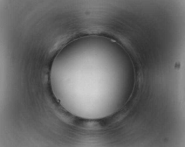 X0000114180501200910151704