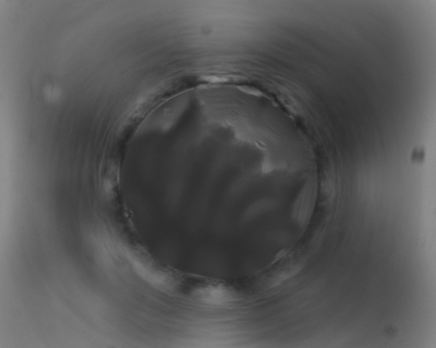 X0000114180503200910151704