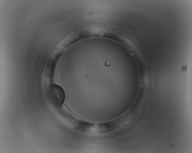 X0000114180504200910151704