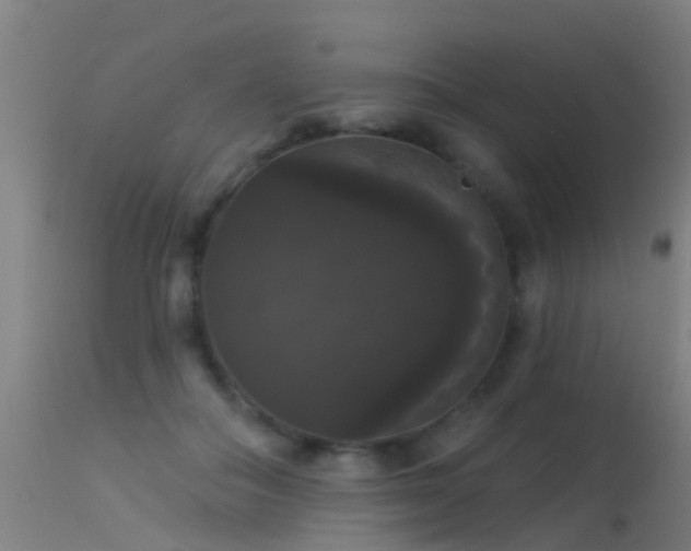 X0000114180506200910151704