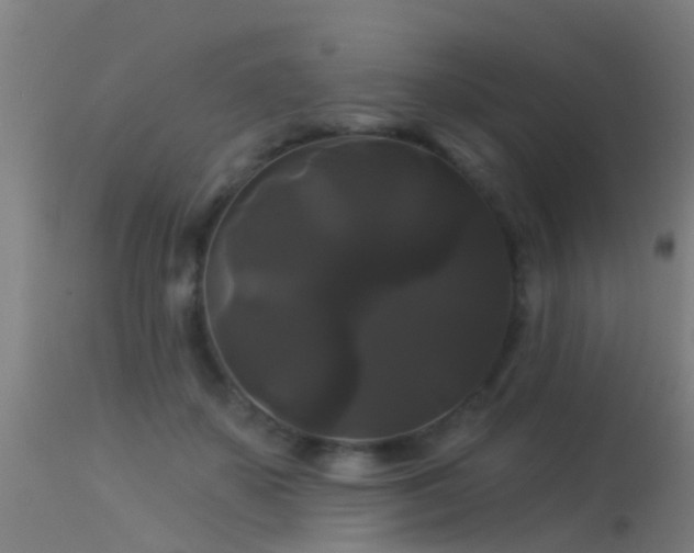 X0000114180507200910151704