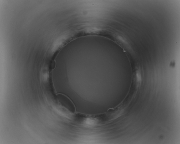 X0000114180508200910151704