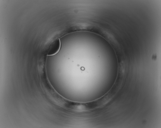 X0000114180509200910151704